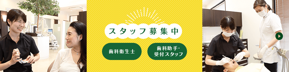 スタッフ募集中 歯科衛生士 歯科助手・受付スタッフ